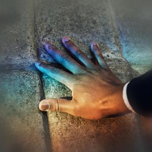 男总裁贱狗是男秘书主人的垫脚
