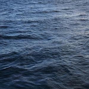 男总裁贱狗是男秘书主人的垫脚
